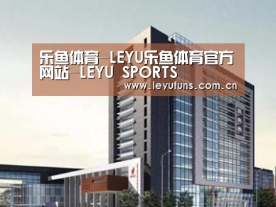 案例展示七