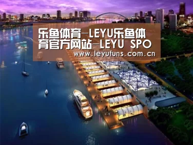 案例展示八