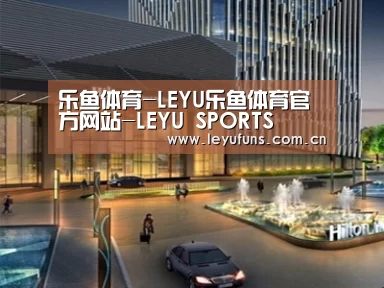 案例展示二