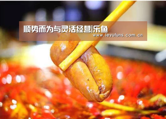 顺势而为与灵活经营|乐鱼(图1) 乐鱼登陆