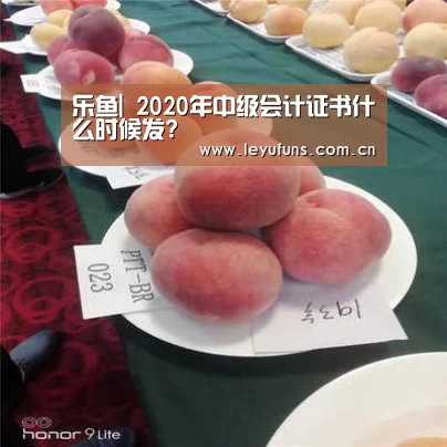 乐鱼|
2020年中级会计证书什么时候发?(图3) 乐鱼体育
