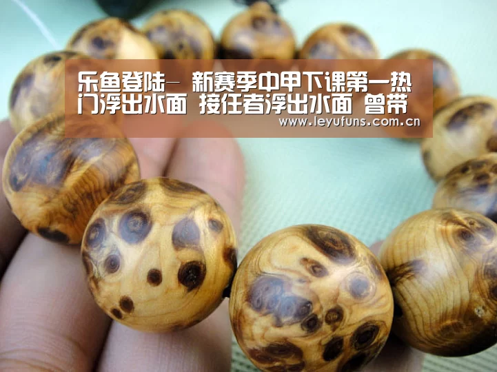 乐鱼登陆-
新赛季中甲下课第一热门浮出水面 接任者浮出水面 曾带队冲超(图1) 乐鱼登陆